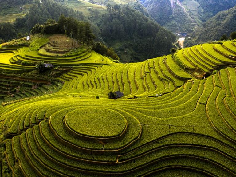 Tour xe máy Mù Cang Chải – Y Tý – Sapa