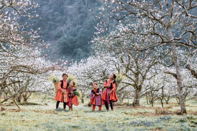 Tour xe máy Mù Cang Chải – Y Tý – Sapa