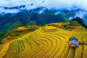 Tour xe máy Mù Cang Chải – Y Tý – Sapa: Trải nghiệm phượt Tây Bắc