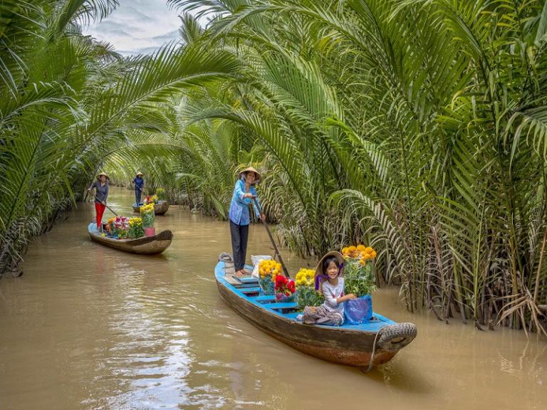 Cù lao Bến Tre – Xứ sở cây trái và dừa nước