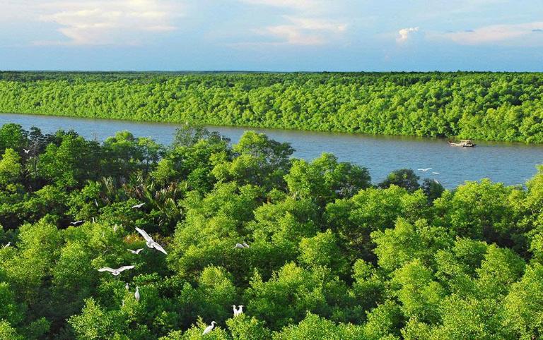 Rừng ngập mặn Cần Giờ được UNESCO công nhận là Khu Dự trữ Sinh quyển Thế giới