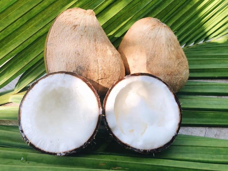 Dừa sáp là một dạng đột biến tự nhiên của dừa – phần nước gần như đông đặc lại thành một lớp sáp trắng dẻo dẻo, béo ngậy như kem tươi