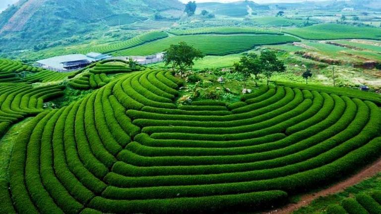 Tour xe máy Tây Bắc