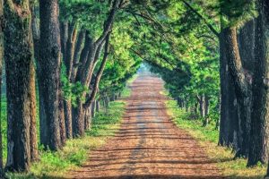 Tour xe máy Tây Nguyên – Khám phá Buôn Ma Thuột, Gia Lai, Kon Tum