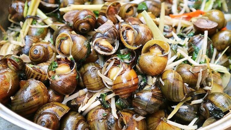 Tour xe máy Tiền Giang
