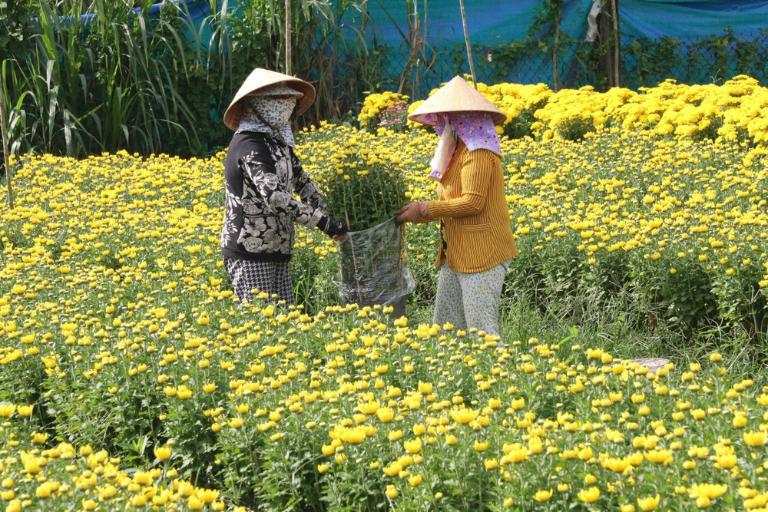 Tour xe máy Tiền Giang