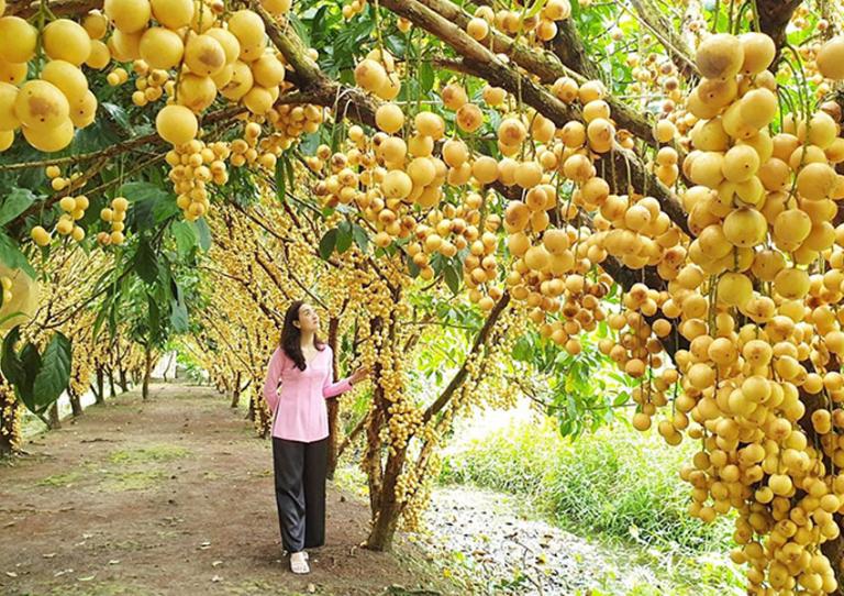 Tour xe máy Tiền Giang