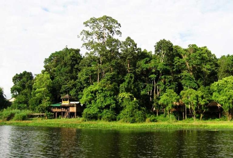 Rừng Nam Cát Tiên là sự lựa chọn số một cho dân phượt miền Nam. 