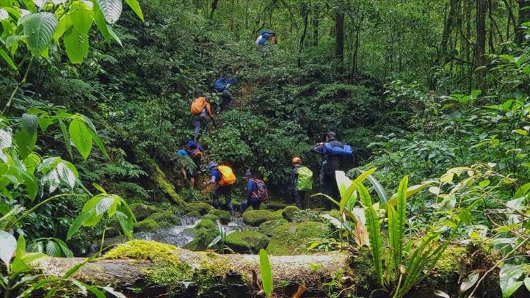 Tour xe máy đi rừng là một hành trình khám phá bản thân và hòa mình với thiên nhiên.