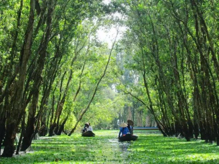 Khám phá rừng tràm ngập nước, ngắm chim trời