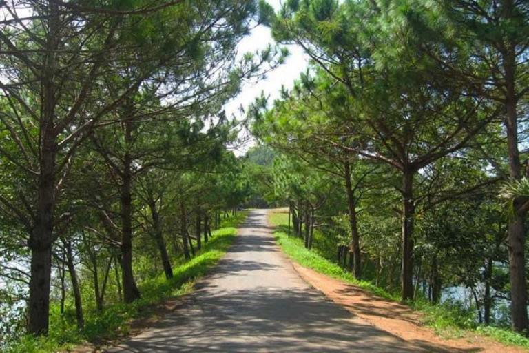 Măng Đen được ví như "Đà Lạt thứ hai" với khí hậu mát lạnh, rừng thông bạt ngàn