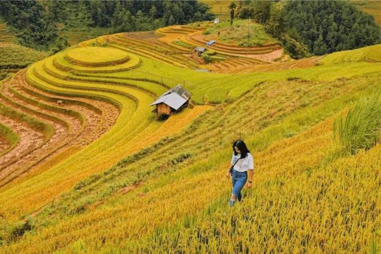 La Pán Tẩn – nơi có ruộng bậc thang hình xoắn ốc nổi tiếng thế giới.