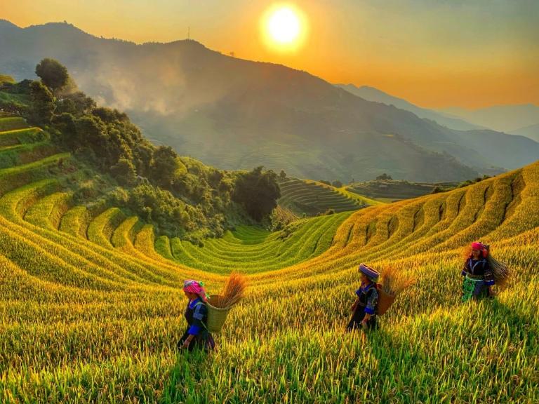 Đèo Khau Phạ: Một trong “tứ đại đỉnh đèo” Tây Bắc, săn mây và ngắm ruộng bậc thang từ trên cao.