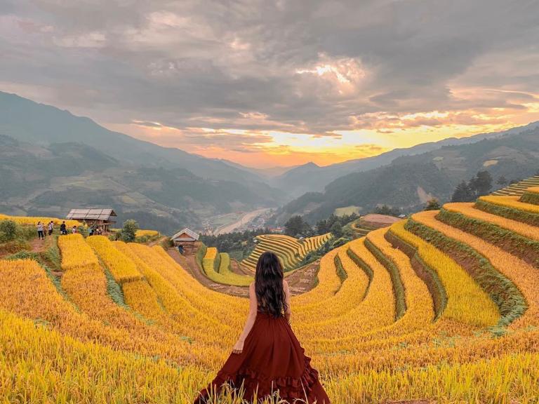 Mùa lúa chín ở Tây Bắc là thời điểm thiên nhiên, con người và trời đất như hoà làm một.