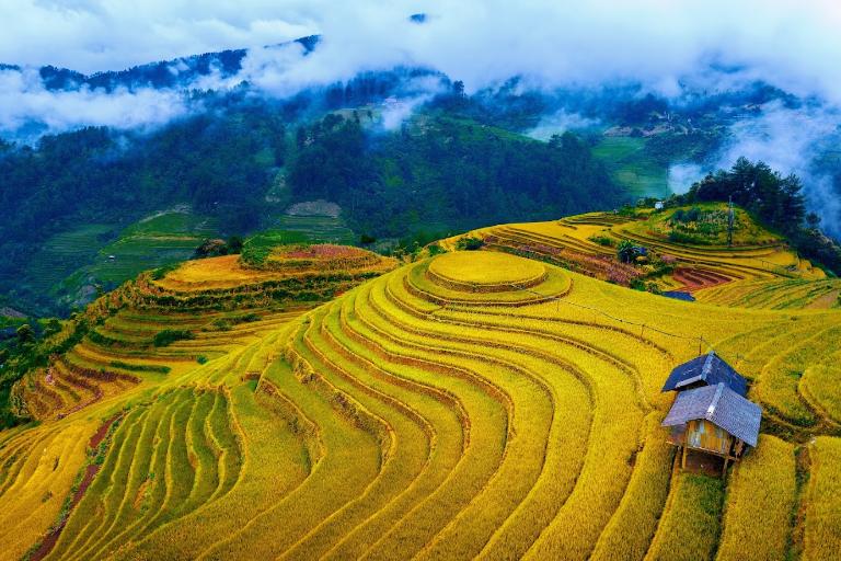Những thửa ruộng bậc thang vàng óng như mật dưới ánh nắng thu