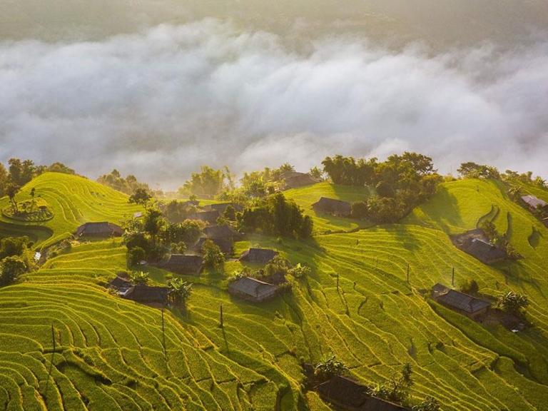 Hoàng Su Phì, nơi cảnh sắc như tấm thảm vàng trải dài giữa núi mây.