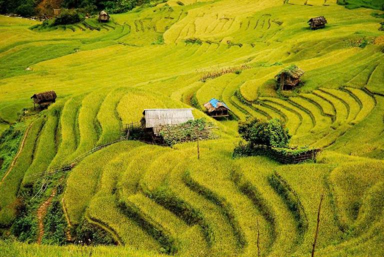 Tham quan các bản như Dế Xu Phình và Chế Cu Nha