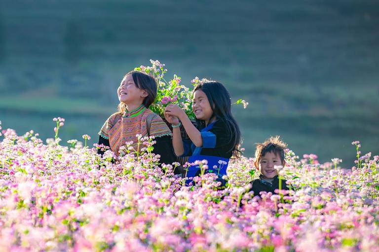 Tháng 10–11 là thời điểm lý tưởng nhất để trải nghiệm tour xe máy ngắm hoa tam giác mạch tại Hà Giang