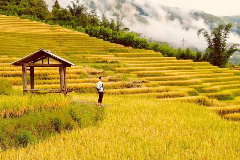 Chàng trai đứng giữa ruộng bậc thang mênh mông để ngắm mây
