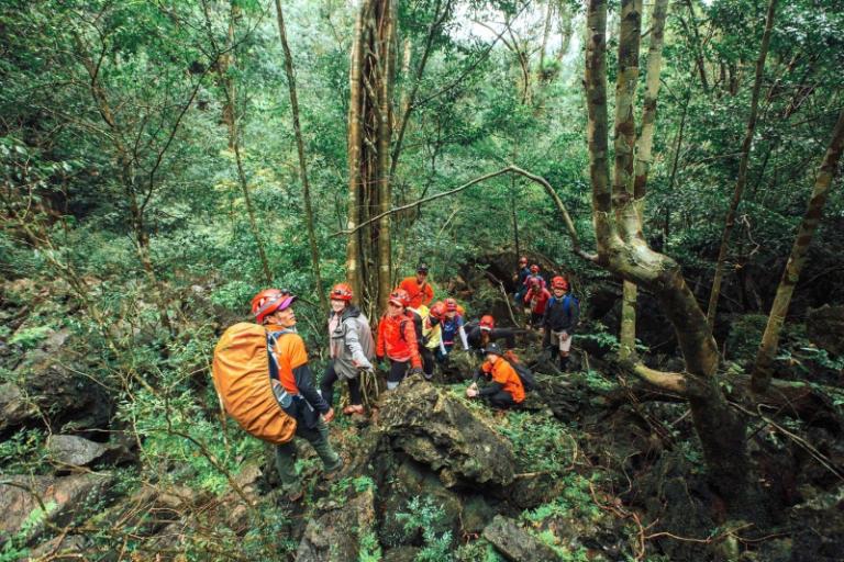 Trekking trong rừng nguyên sinh Phong Nha