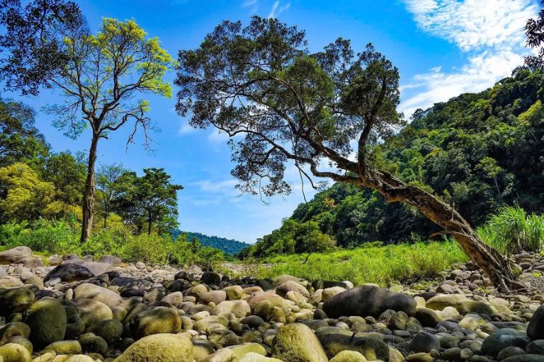 Rừng Vũ Quang hoang dã, bí ẩn và mát lạnh.