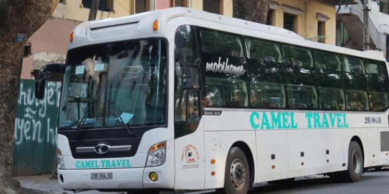 Camel Travel là thương hiệu quen thuộc trong phân khúc giường nằm phổ thông