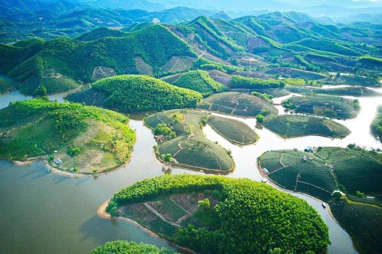 Đồi chè xanh ngắt được bao quanh bởi sông nước.