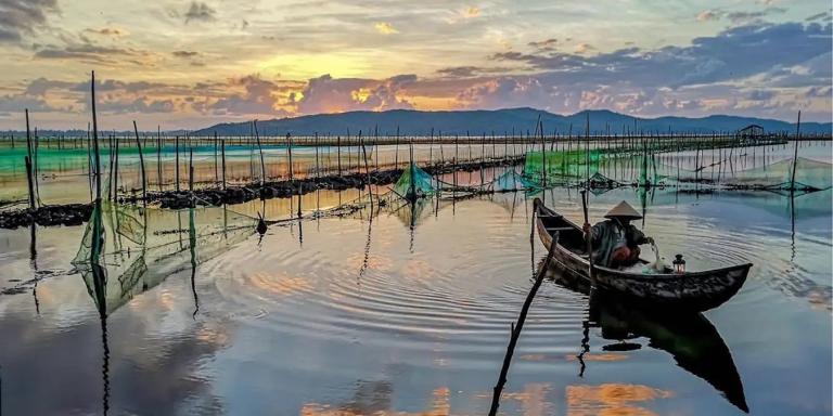 Đầm Ô Loan – Thiên đường hải sản, tha hồ lựa chọn đồ tươi sống