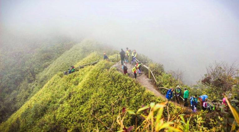 Cung đường đến chân núi Fansipan là một trong những lựa chọn hàng đầu cho du khách lần đầu đến Sapa.