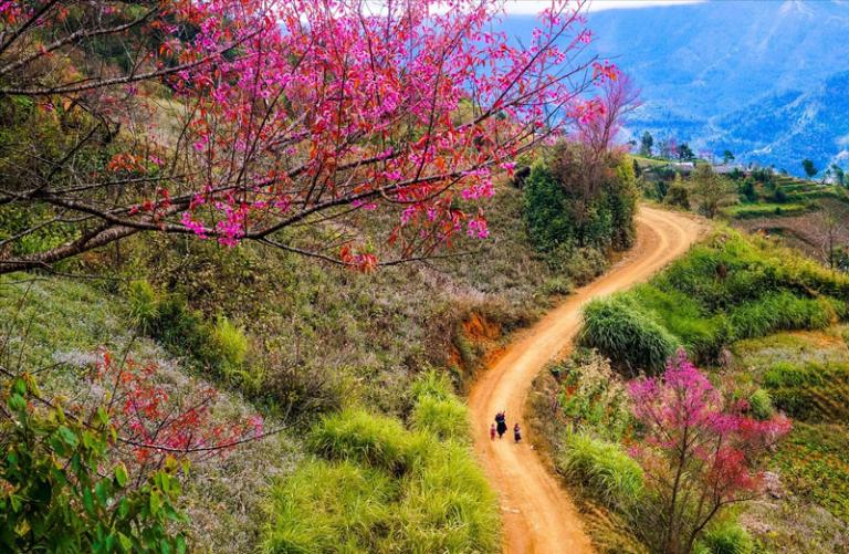 Khắp các bản làng, sườn đồi đều rực rỡ hoa mận, hoa đào, hoa lê nở trắng hồng.