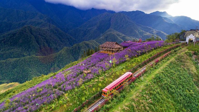 Đây là nơi có ruộng bậc thang đẹp nhất Sapa, đặc biệt vào mùa lúa chín.