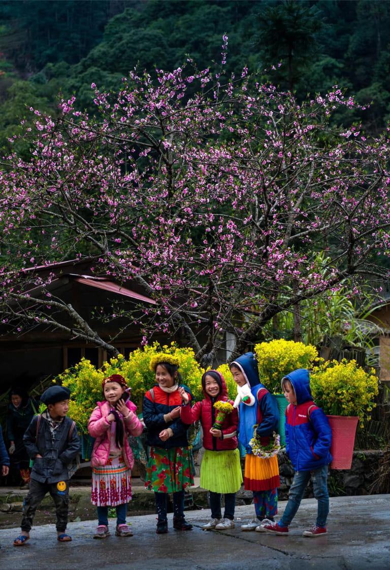 Mùa xuân là thời điểm Hà Giang rực rỡ với hoa đào, hoa mận và hoa lê nở khắp các bản làng.