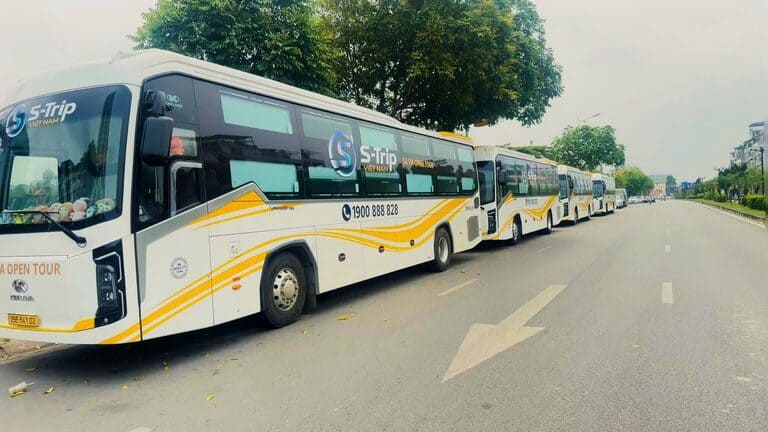 S-Trip với đội hình xe mầu sáng vô cùng nổi bật.