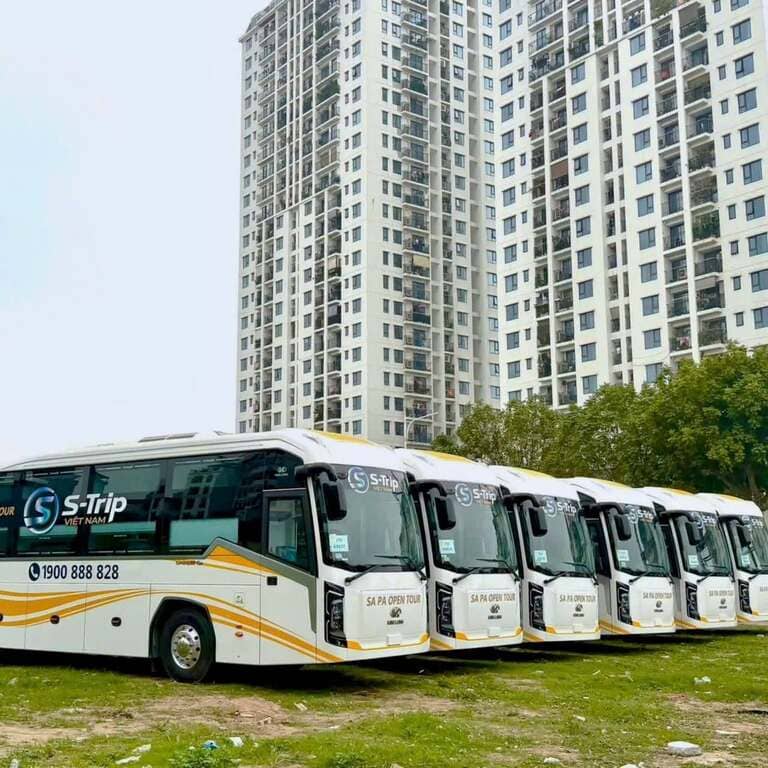  S Trip Việt Nam chạy cabin 24 phòng, hãng mới nổi với điểm 4.8/5. (Nguồn: Internet)